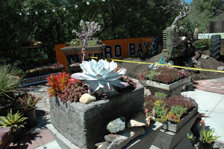 Cambria and Cayucos 034.jpg